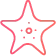 Star Icon